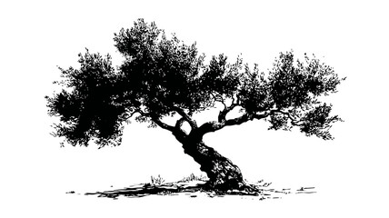 Stylized black and white olive tree silhouette illustration on a plain white background, symbolizing nature, growth, and Mediterranean life.