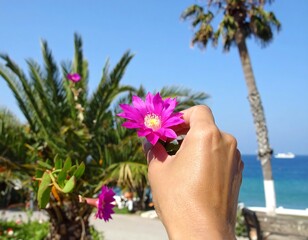 Holding a Vibrant Pink Flower by the Sea.