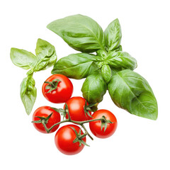 Fresh basil leaves and cherry tomatoes for culinary inspiration