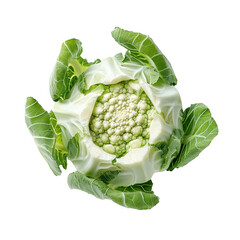 Fresh cauliflower head food photography minimalist environment studio view