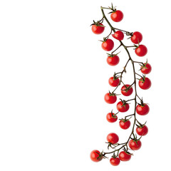 Fresh cherry tomatoes on vine food photography studio environment creative concept