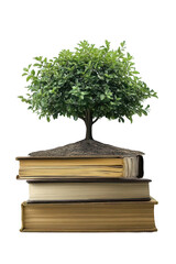Studying sustainable growth pile of textbooks with tree on books photoroom educational environment front view