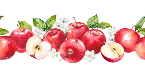 Apples with fresh green leaves and spring flowers. Ripe juicy red fruits and halves hand drawn watercolor illustration isolated on white. Colorful seamless border for harvest designs, prints, banners