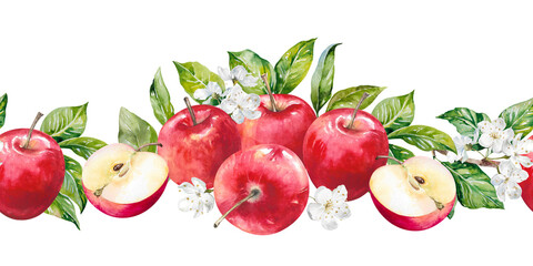 Apples with fresh green leaves and spring flowers. Ripe juicy red fruits and halves hand drawn watercolor illustration isolated on white. Colorful seamless border for food designs, prints, banners