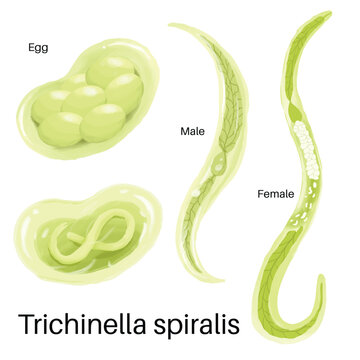 Uy qurilishi ogzaki porno toplami Eng chiroyli va silliq vaginalar