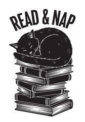 A sleeping cat curled atop a stack of books a charming silhouette