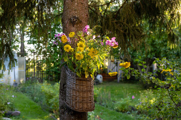 Bouquet of wild flowers in a basket on a tree