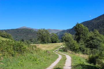 A hiking trail winding through lush green fields and forests in summer near Ascou, a commune in the Ariège department, east of Ax-les-Thermes in south-western France