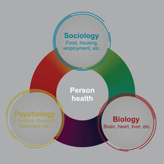 Person's health model. vector illustration	