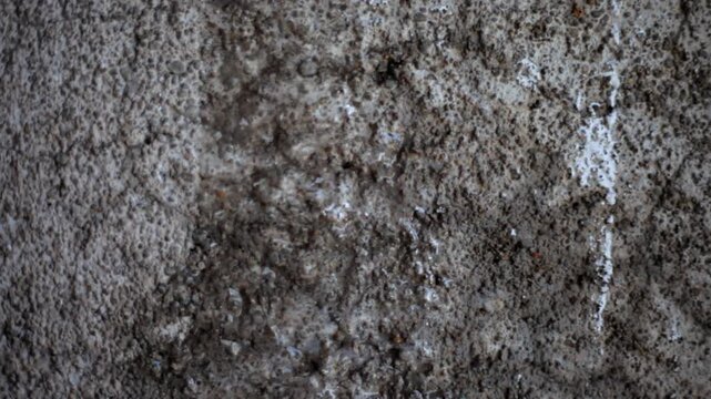 Old cracked concrete wall with rainwater droplets dripping down the surface, highlighting rough cement texture, weather stains, and natural decay in a damp monsoon environment with urban rustic feel
