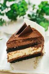 piece of chocolate cake with mint