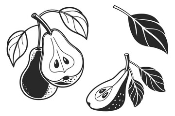 vector illustration of pear