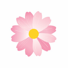 Pink flower illustration isolated on white background for design elements