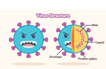 virus structure illustration vector