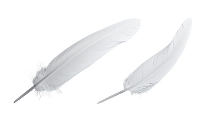 Two White Feathers Set isolated on transparent background