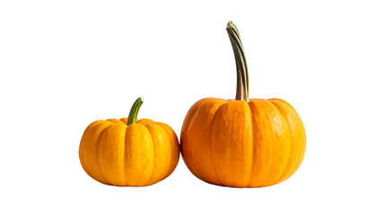 Harvest Pumpkin Collection with Two Variations Isolated on Transparent Background