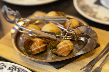 Close-up of French Escargot in Paris, Classic French Cuisine