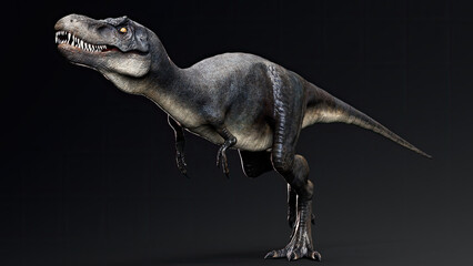 Juvenile Tyrannosaurus Rex of background. 3d model rendering