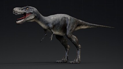 Fototapeta premium Juvenile Tyrannosaurus Rex of background. 3d model rendering