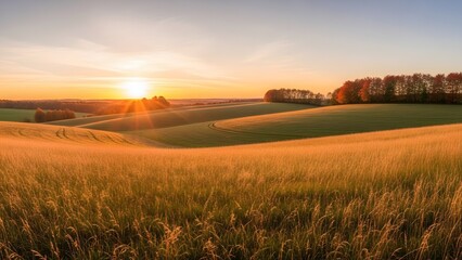 scene of a cozy town street with trees shedding orange leaves, soft shadowing, warm full color