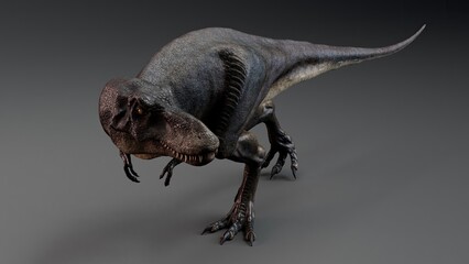 Juvenile Tyrannosaurus Rex of background. 3d model rendering