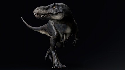 Fototapeta premium Juvenile Tyrannosaurus Rex of background. 3d model rendering