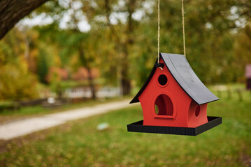Colorful bird feeder in the park. Bird feeder in the park.
