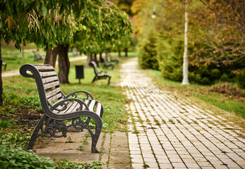 Bench in the park with fallen leaves in autumn, shallow depth of field