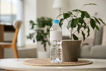 Bottle of water and houseplant on table in room