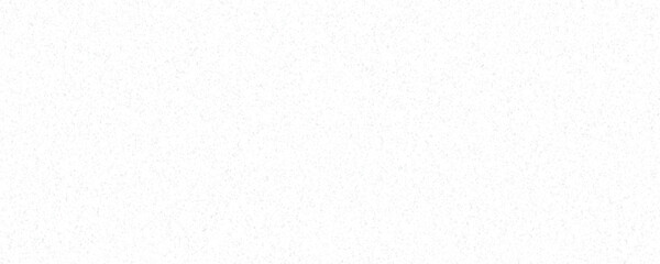 Abstract vector noise. Small particles of debris and dust. Distressed uneven background. Grunge texture overlay with fine grains isolated on white background. Vector illustration.