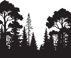 Forest silhouette