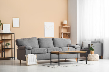 Interior of modern living room with sofa and table near beige wall
