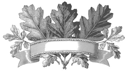 Elegant Vintage Engraved Oak Leaf Border with Blank Ribbon Banner for Text, Classic Autumn Nature Graphic Element Illustration