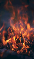 Vibrant flames dancing against a dark background, creating a warm and dynamic atmosphere.