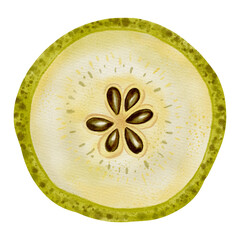 Watercolor illustration of a pear slice with pit. Ripe pear. Fruit. Great for food packaging, labels, market posters, textiles, and harvest themed designs.