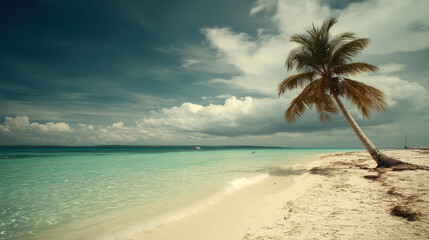 Obraz premium Idyllic Tropical Beach Paradise with Palm Tree, Turquoise Water, and Cloudy Sky: A Serene Caribbean Getaway for Relaxation and Vacation Dreams