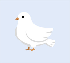 Cute White Dove