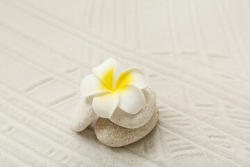 Spa stones, flower and lines on sand as background, closeup. Zen concept