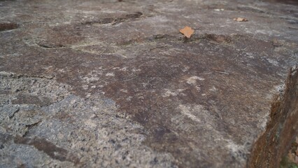 Cracked Dry Earth and Rock Surface