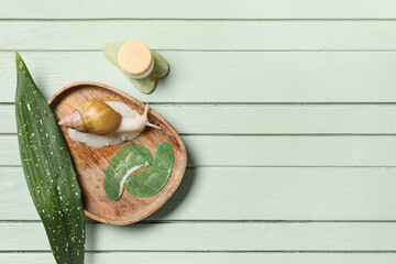 Tray, giant Achatina snail, under-eye patches and jar of cosmetic products on green wooden background