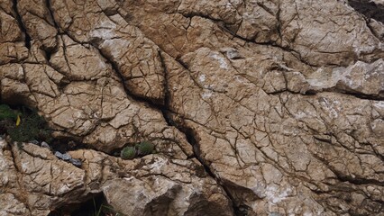 Cracked Dry Earth and Rock Surface
