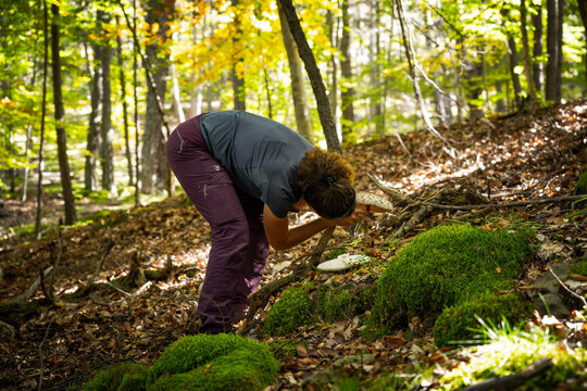 Chica recogiendo setas en Oto&ntilde;o, Pirineo Catal&aacute;n