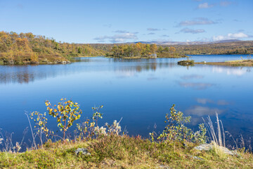 Autumn at Rensjøen, Holtålen, Trøndelag, Norway
