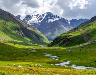 A vibrant mountain valley featuring a winding river and snow-capped peak