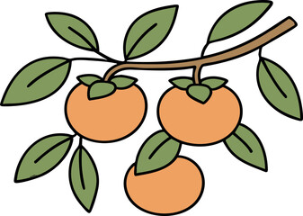 Persimmon Tree Branch Illustration