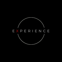 experience logotype design graphic vector
