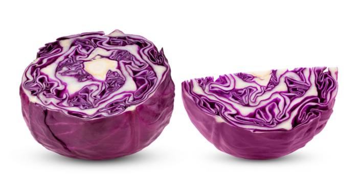 red cabbage isolated on transparent png ( image from camera )