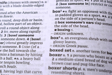 Fototapeta premium English Definition Dictionary Page Close Up Of Printed Word Of -Box