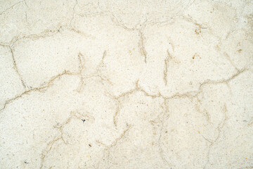 Textura de pared blanca agrietada con patrón natural de fisuras