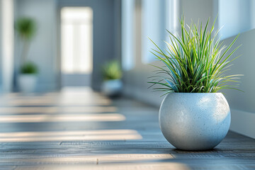 A Nordic-inspired hallway features a ceramic pot with a vibrant green plant. The natural light streams in, creating a calm and inviting atmosphere